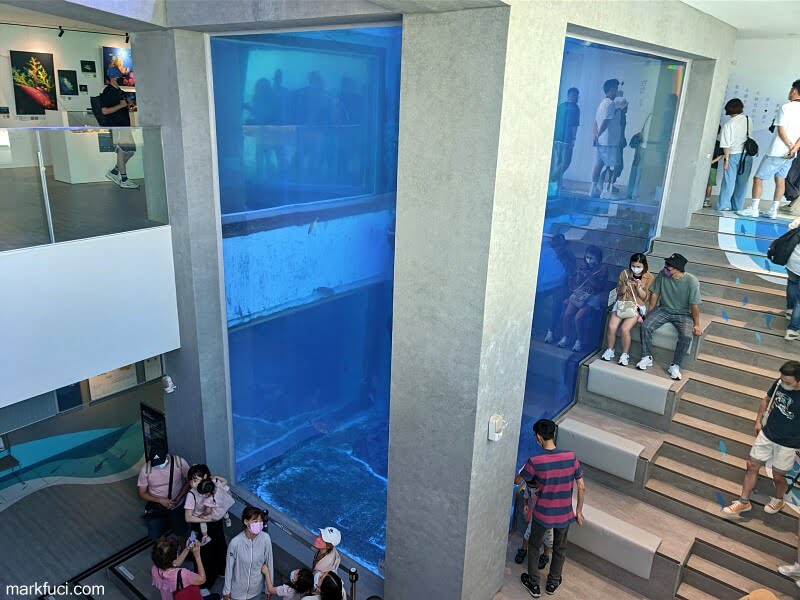 潮境智能海洋館 i OCEAN